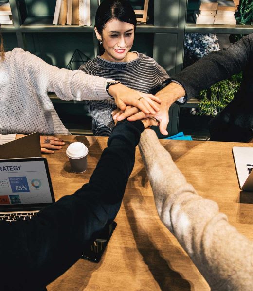 theme-07 Best Raw Material